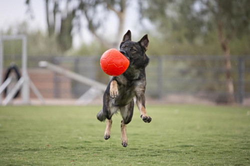 Jolly soccer ball - ball, 20cm